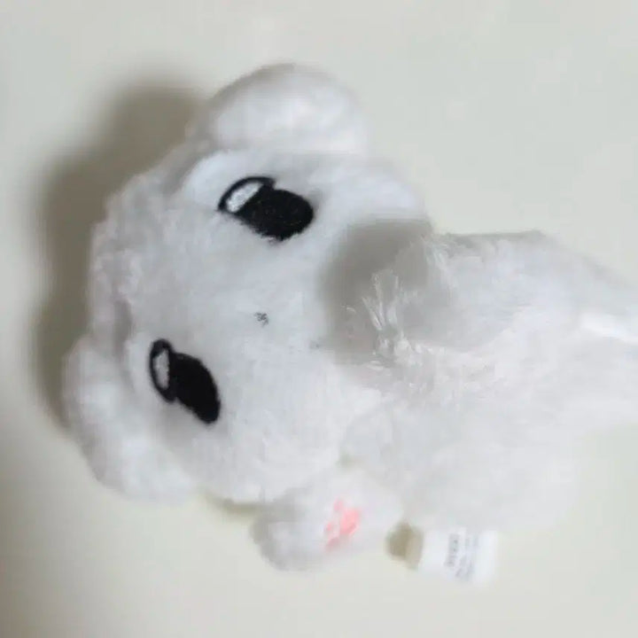 에스파 윈터 인형 눕직이 직직이 양도
