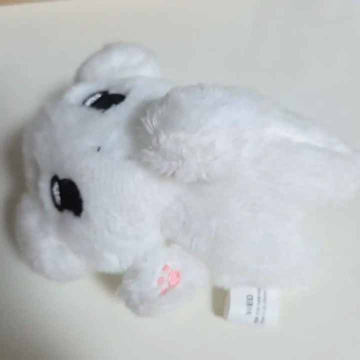에스파 윈터 인형 눕직이 직직이 양도