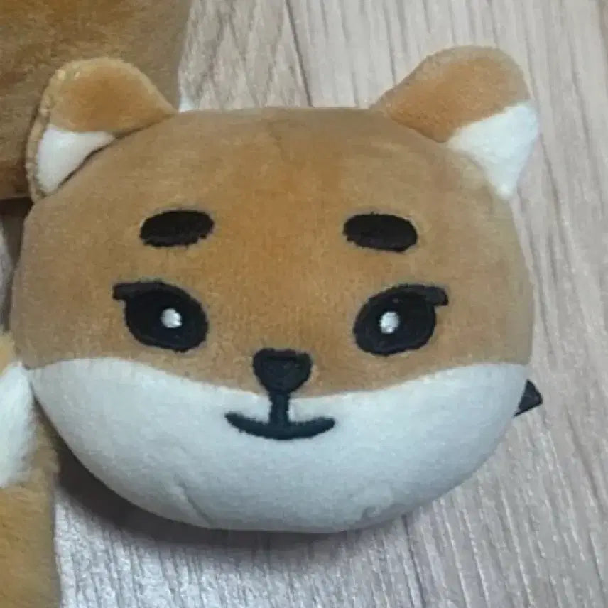 데이식스 데니멀즈 케 스트레스볼 팝니다