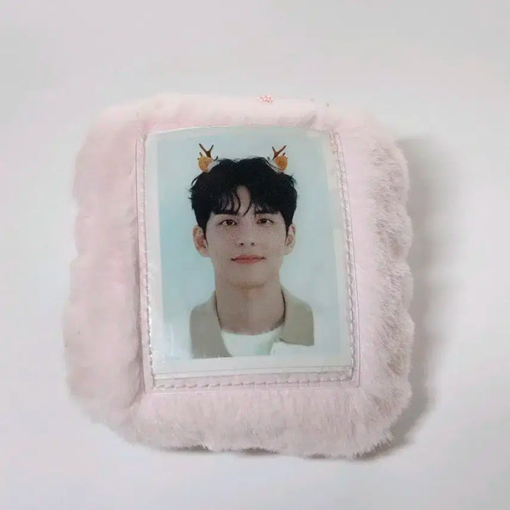 데이식스 클콘 엠디 쁘띠 필 포카 홀더