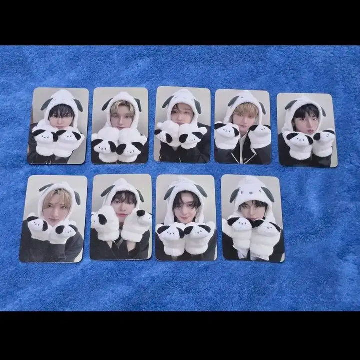 싸이커스 프롬스토어 미공포 세트 xikers