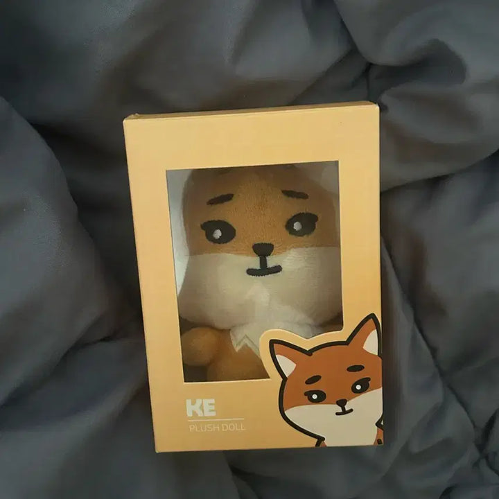 데이식스 데니멀즈 20케