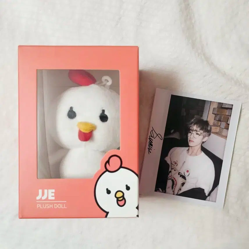 (택o)박제형 18 쩨꼬 양도 데이식스 데니멀즈 포카 선라이즈 짭폴라