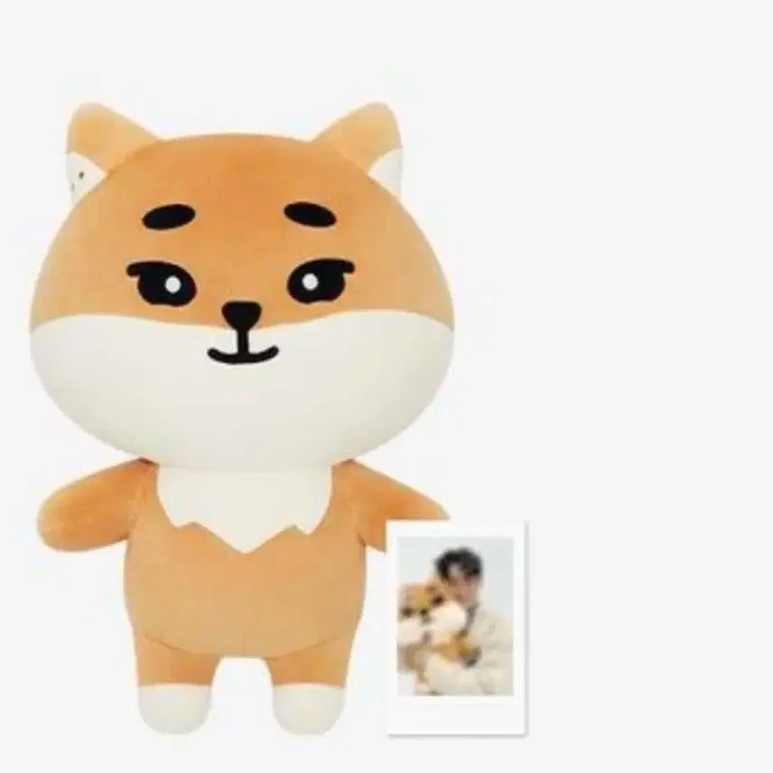 데이식스 영케이 자이언트 데니멀즈 케