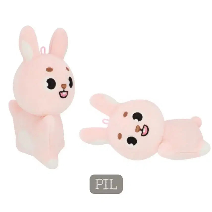 데이식스 데멀 데니멀즈 손난로 필 필끼