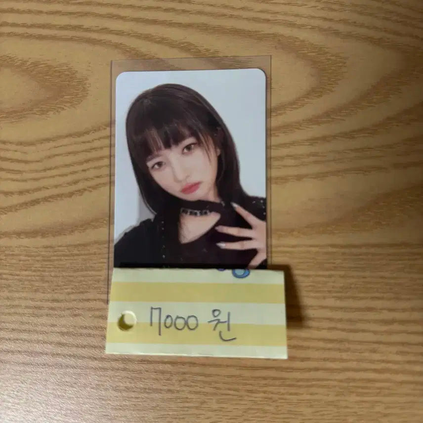 아이브 일레븐 레이 포카