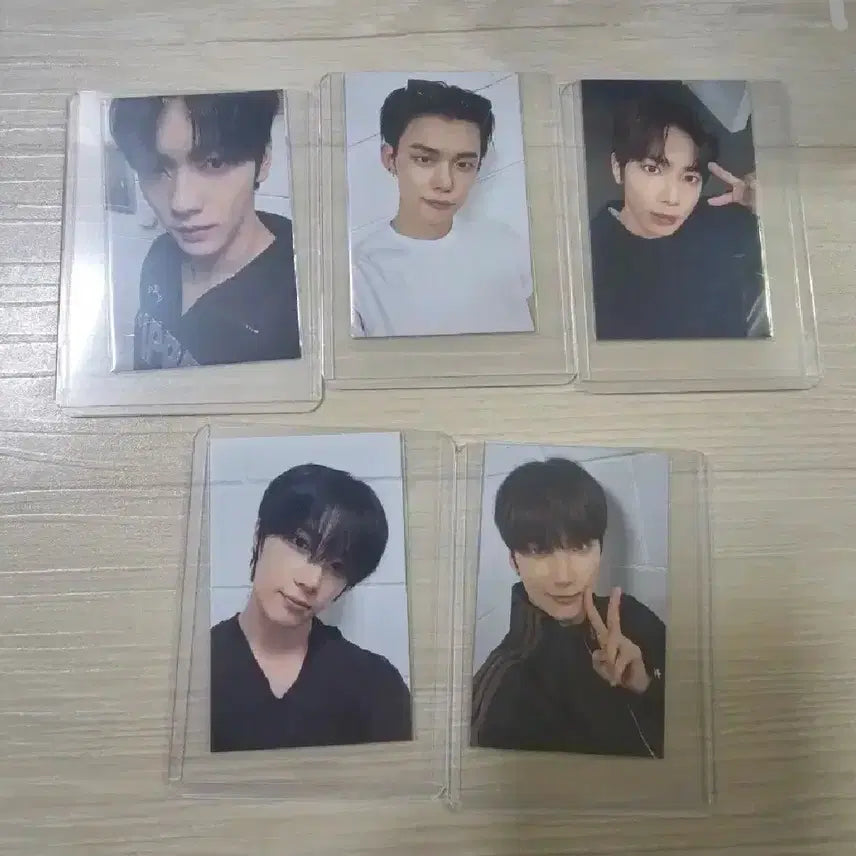 투바투 뿔바투 팝업 포카 1세트 5장