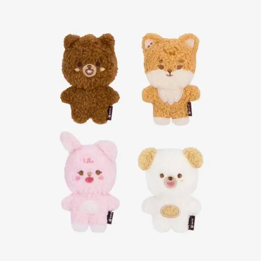 데이식스 데니멀즈 마그넷 필