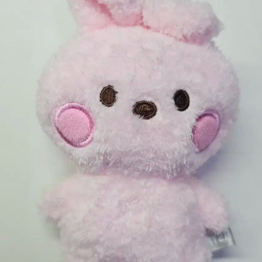 BT21 COOKY 인형 개봉
