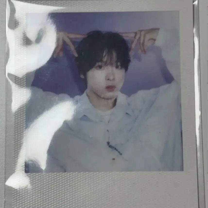 엔시티 위시 시그 시즌그리팅 리쿠 폴라 폴라로이드 미개봉