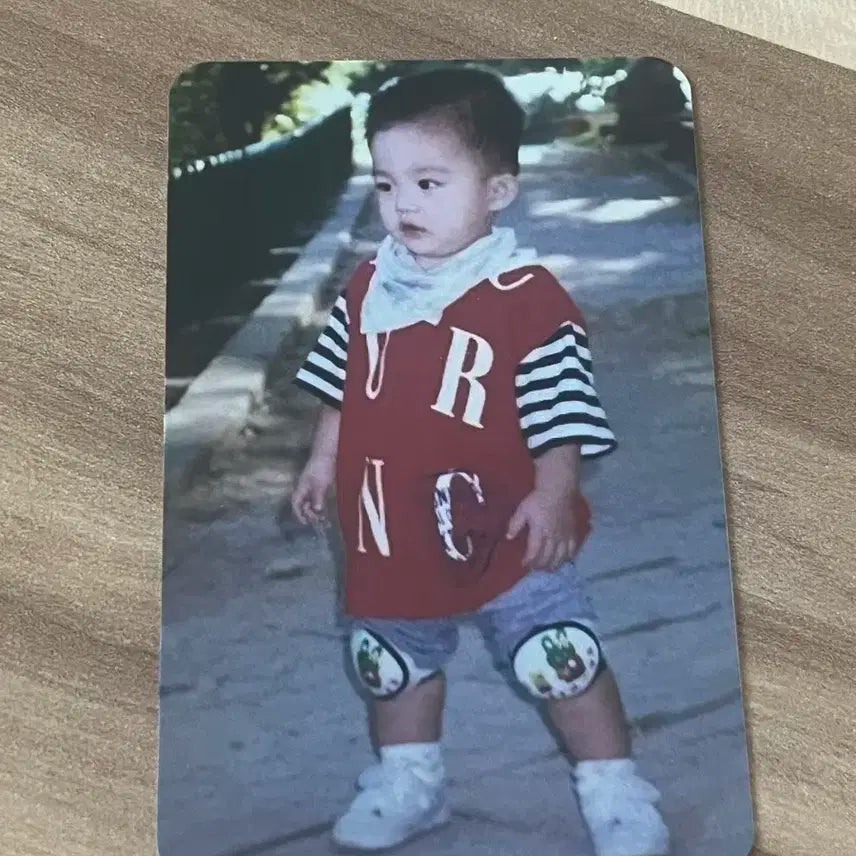 세븐틴 에스쿱스 세미콜론 애기포카