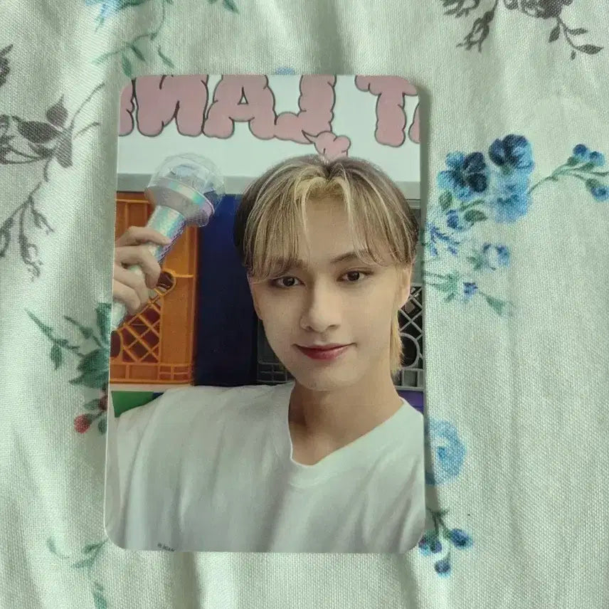 세븐틴 준 2023년 캐럿존 포카