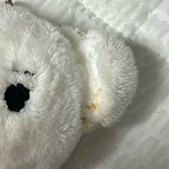 블랙핑크 지수 인형 말치츄 양도