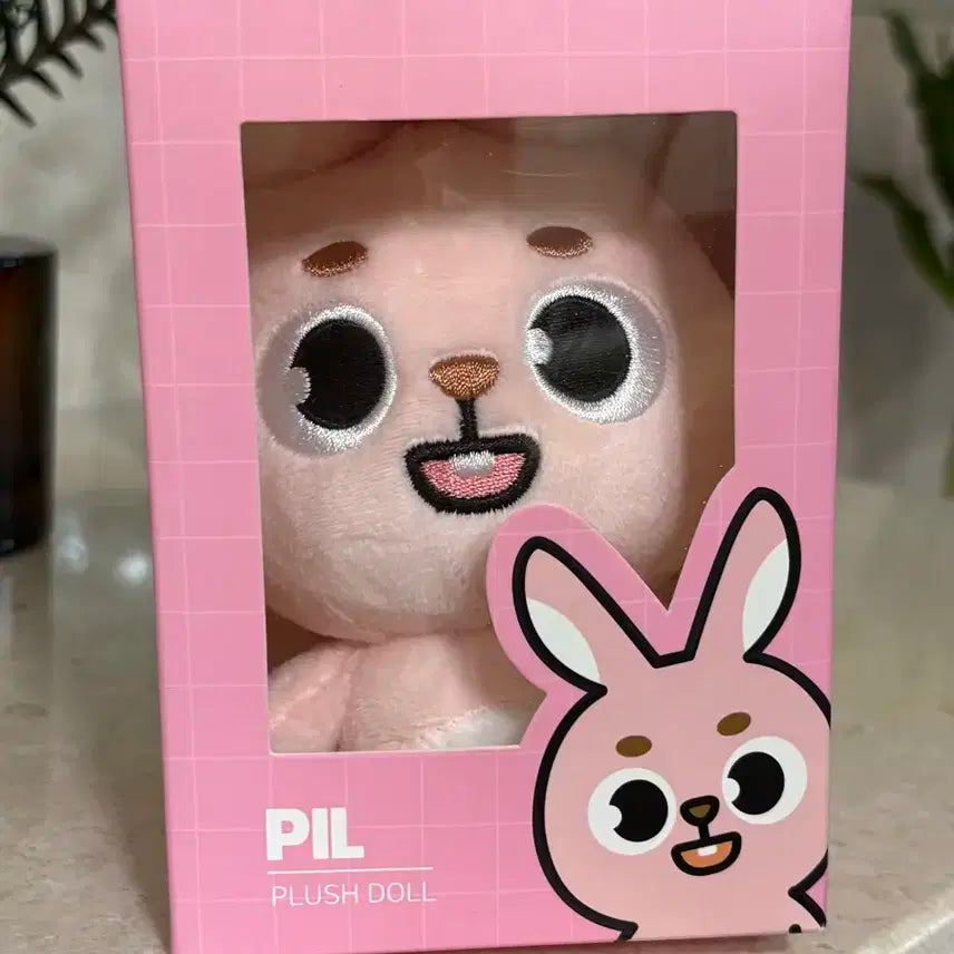 [단순개봉] 데이식스 데니멀즈 24필끼 판매합니다!