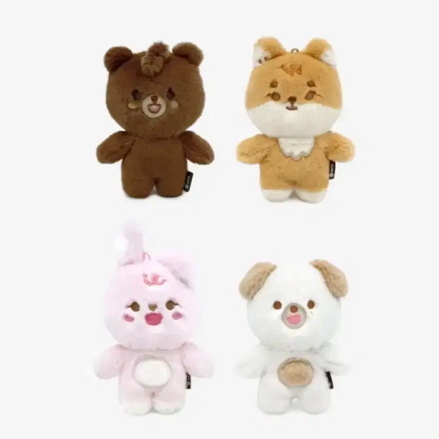 일괄) 데이식스 데니멀즈 데멀 쁘멀 쁘띠멀즈 방 케 필 돈 일괄