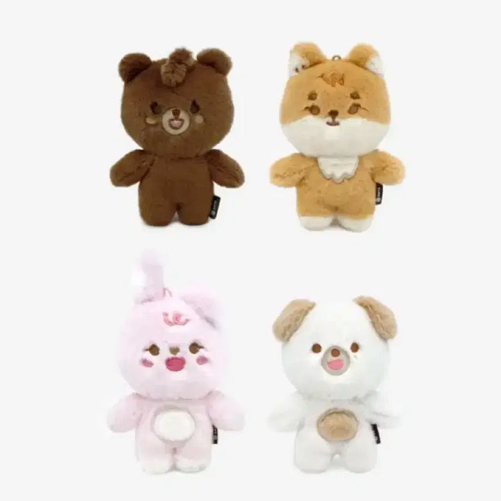 일괄) 데이식스 데니멀즈 데멀 쁘멀 쁘띠멀즈 방 케 필 돈 일괄