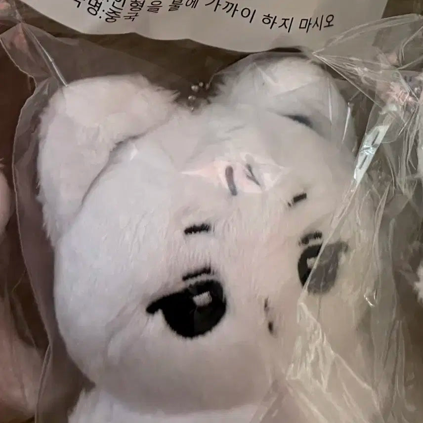 에스파 윈터 인형 소다둥 미개봉