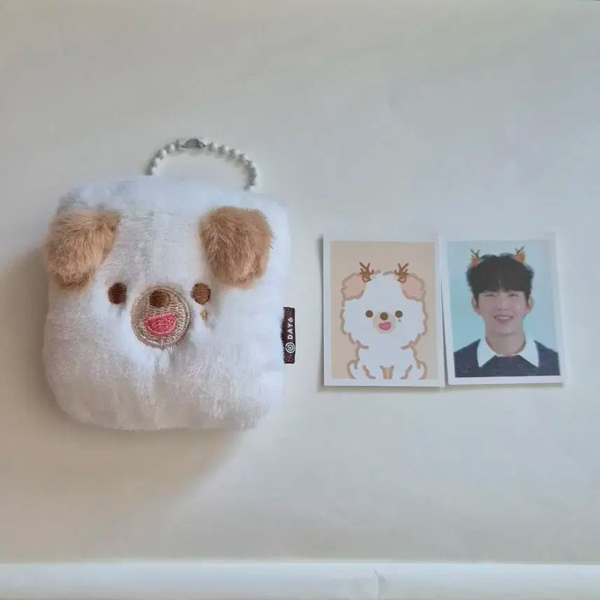데이식스 데니멀즈 id 홀더 돈 도운