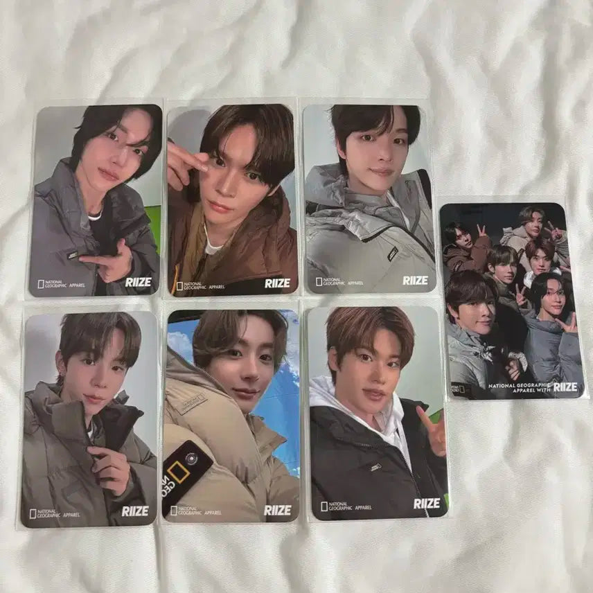 급전) 박카스 네셔널 라이즈 포카 일괄
