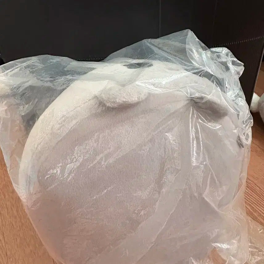 에스파 카리나 찌먕이 양도