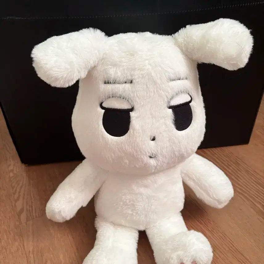 에스파 윈터 왕직이 왕직직이 양도