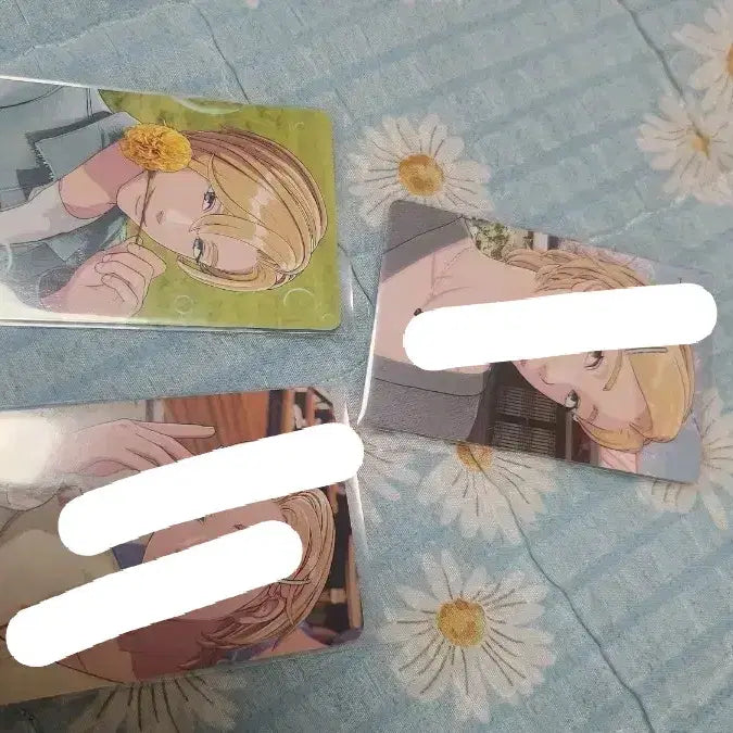 플레이브 노아 메디힐 포카 양도