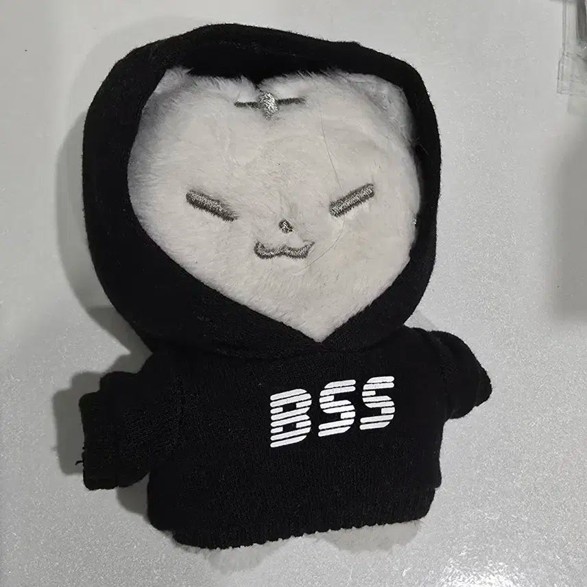 세븐틴 인형 호찌 옷포함