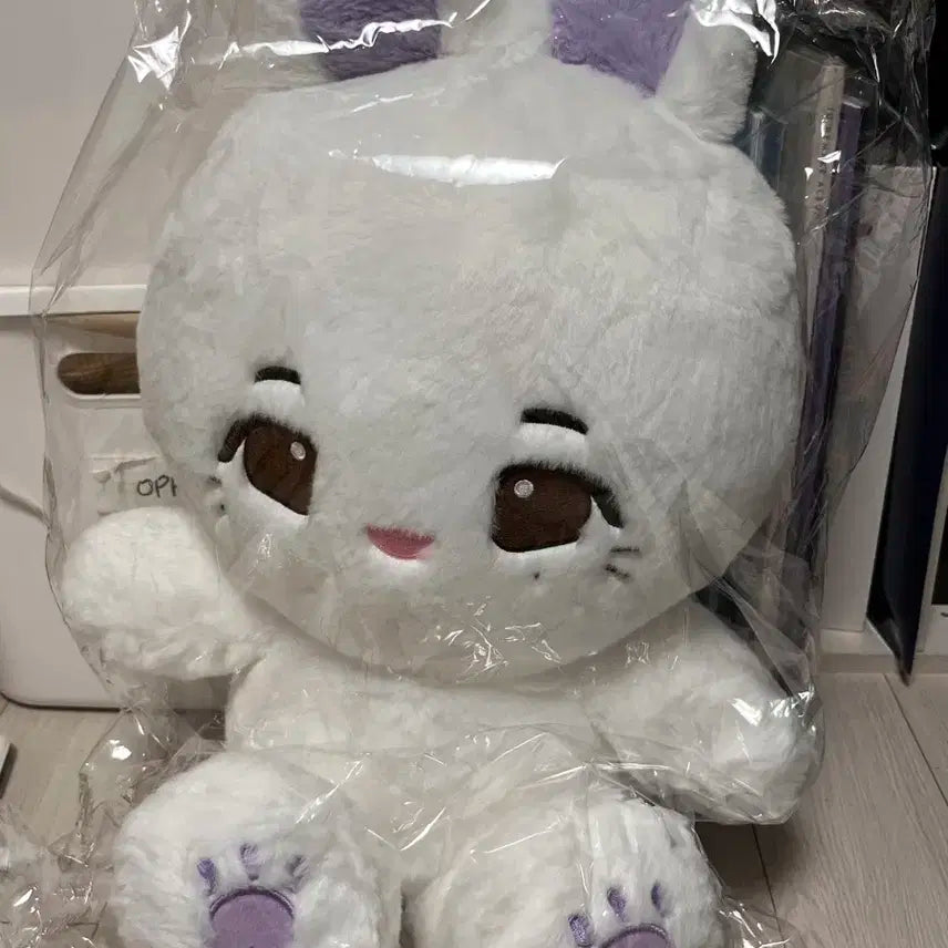 대왕징토끼 인형 (아이유 인형)