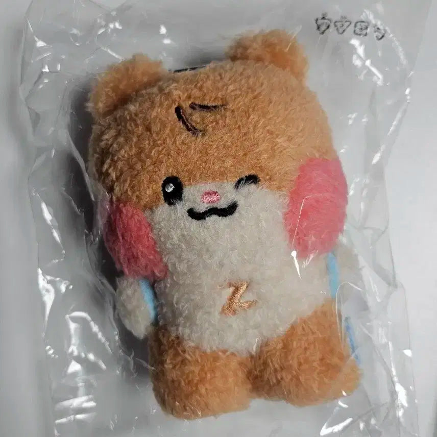 제베원 성한빈 비니니 메시지 인형 키링