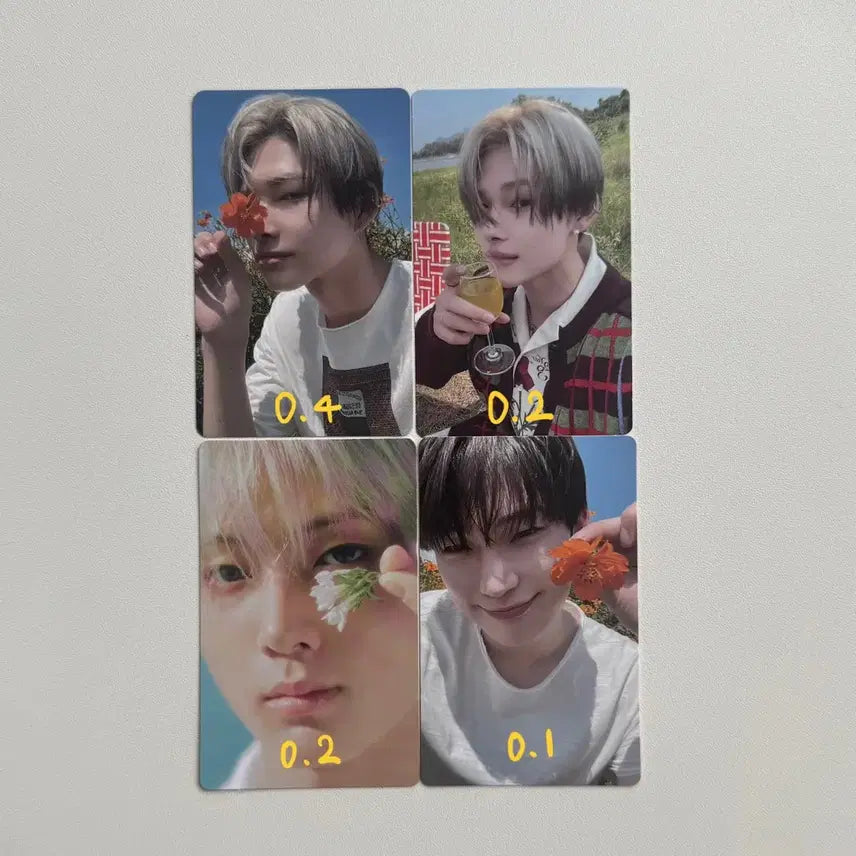 엔하이픈 포카 양도 니키제이선우