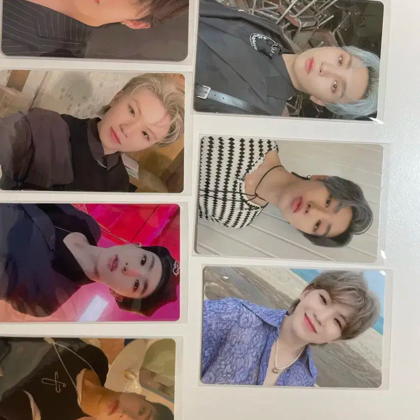 세븐틴 포카 일괄