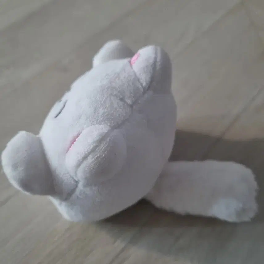 엔시티 제노 인형 왕왕이