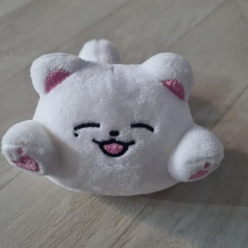 엔시티 제노 인형 왕왕이