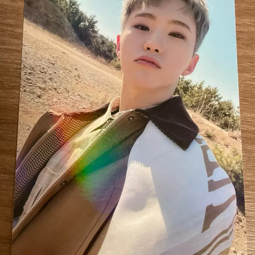세븐틴 호시 페더썬 위버스 특전 액자