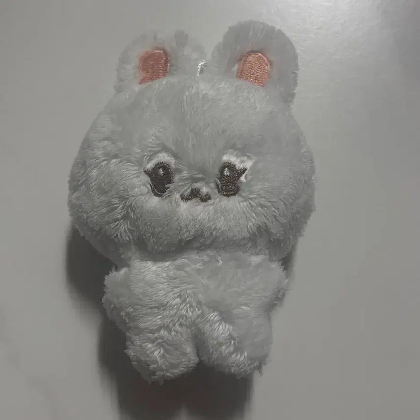 엔시티드림 재민 나재민 포켓잼 인형 양도 교환 판매