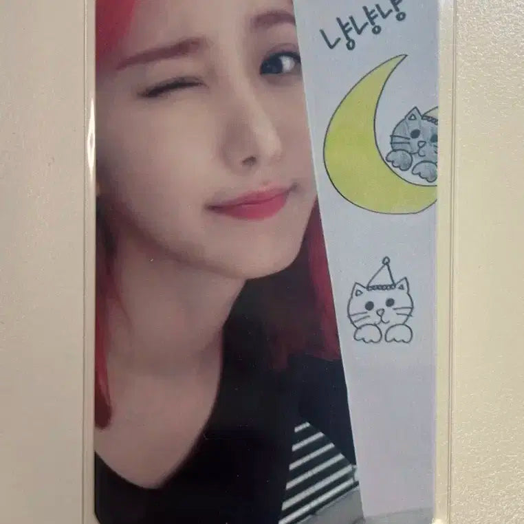 여자친구 비비지 신비 생일 이벤트 냥냥냥 포카 포토카드