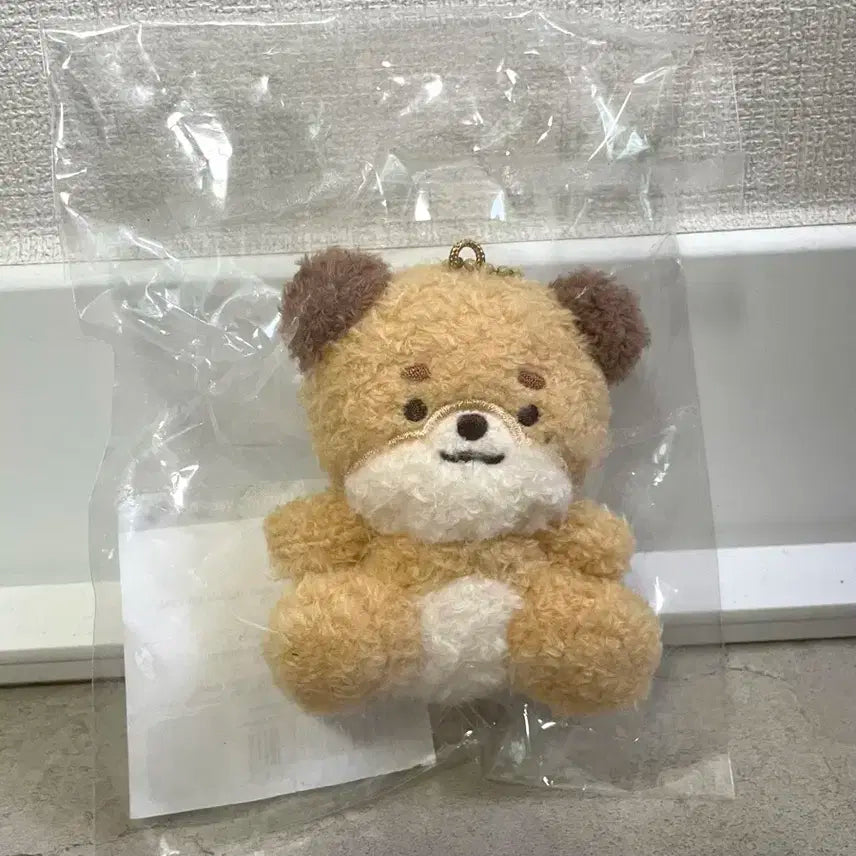 데이식스 데니멀즈 앉은 돈
