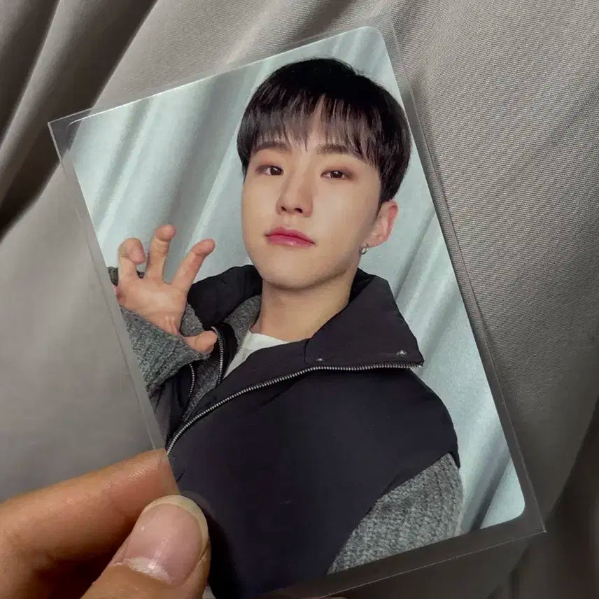 호시 세븐틴 아타카 이즈위 양도