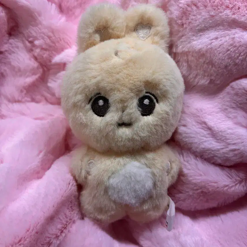 세븐틴 윤정한인형 양도 판매 깡쫑이