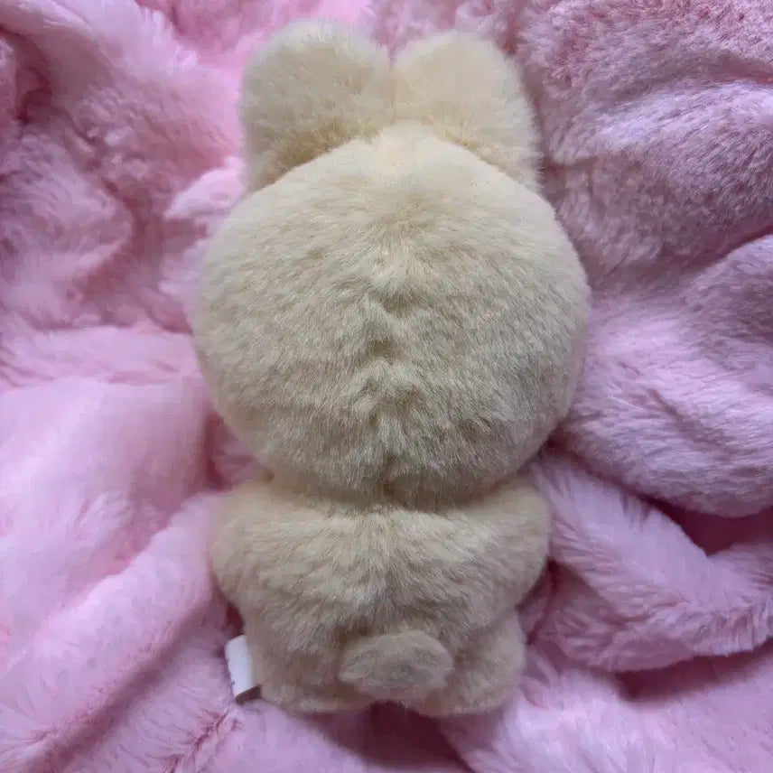 세븐틴 윤정한인형 양도 판매 깡쫑이