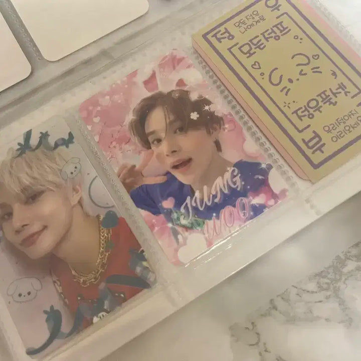 NCT 정우 포카 일괄