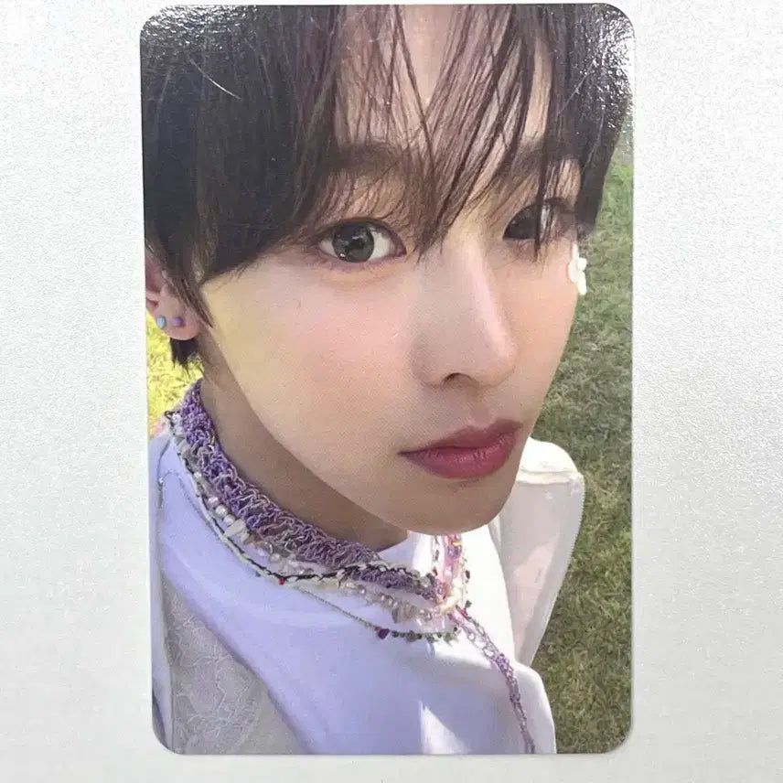 송버드 레터 리쿠 엔시티위시포카처분