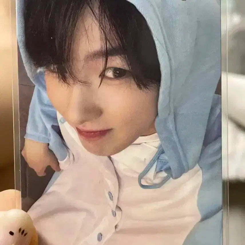 엔시티 위시 로그인 포토세트 포카 사쿠야