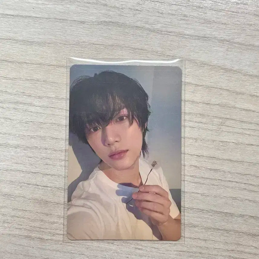 투바투 패닉 범규 포카 양도 (연준수빈태현휴닝)