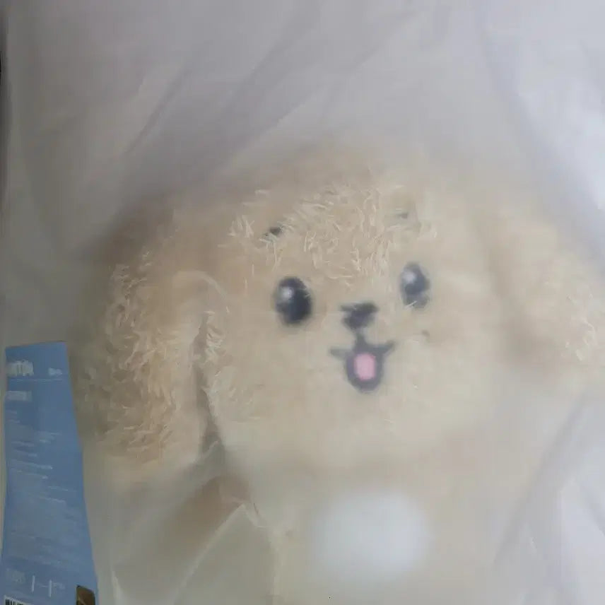 세븐틴 미니틴 도아 플러시 토이 인형