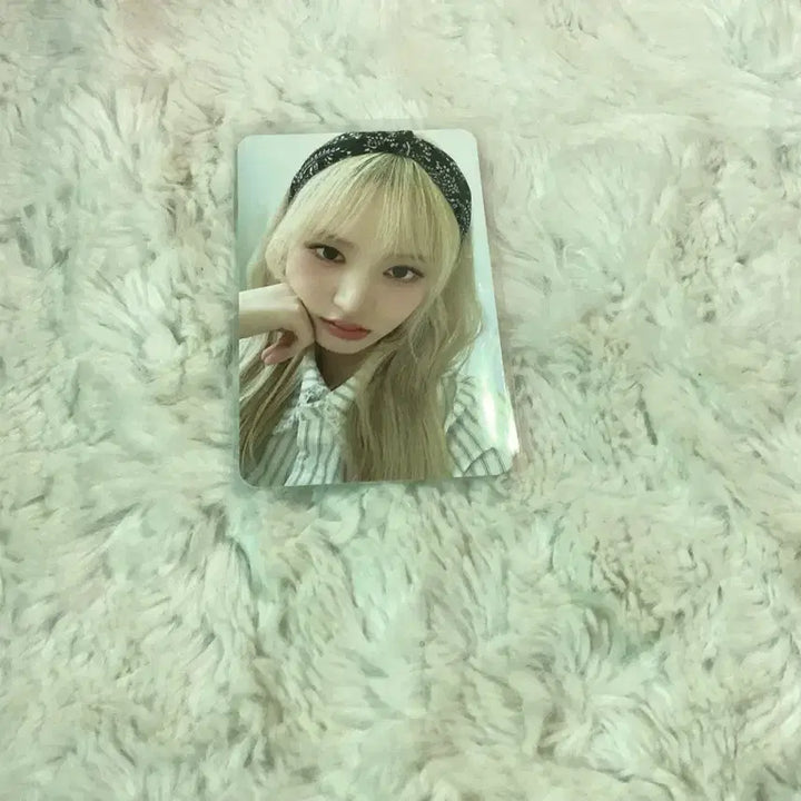 아이브 리즈 2025 시그포카판매합니당