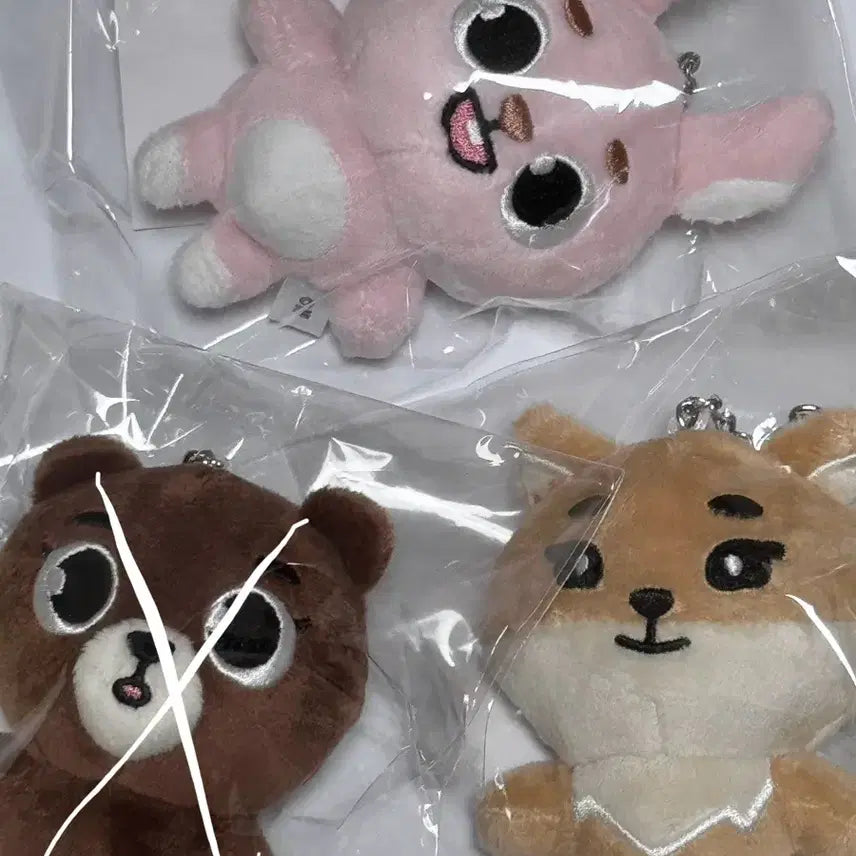 데이식스 일본 엠디 백참
