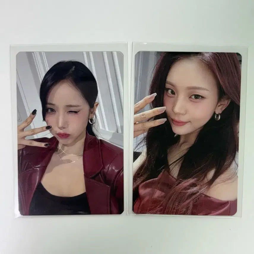 비비지 콘서트 md 특전