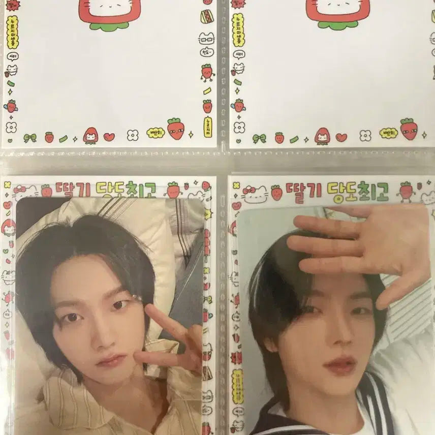 보넥도 성호 멤버쉽 1기 포카 팝니다 양도
