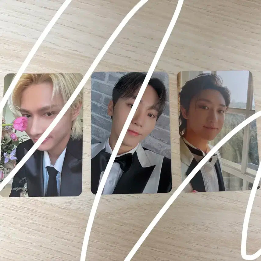 세븐틴 캐럿반 디노 버전